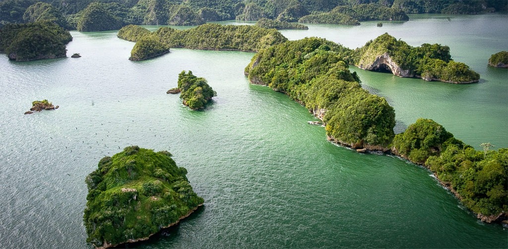 Aerial view of Los Haitises Cave, excursions in Samana, Dominican Republic