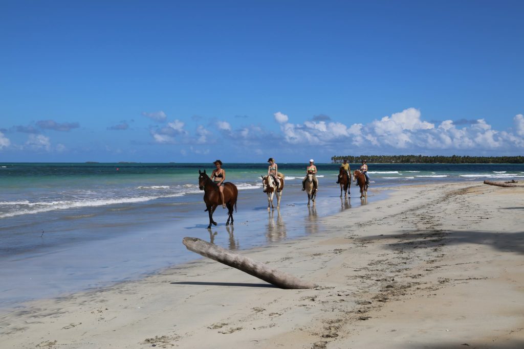 Horseback Riding on the beach in Las Terrenas, Dominican Republic