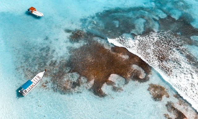 Snorkeling en République Dominicaine