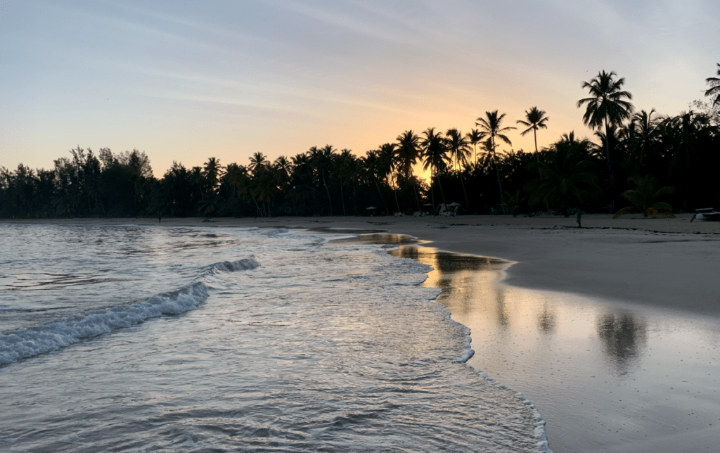 Mejores cosas para hacer en las Terrenas costa de República Dominicana