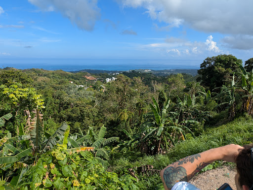 Photo from customer review