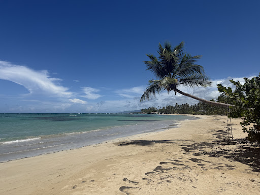 Photo from customer review